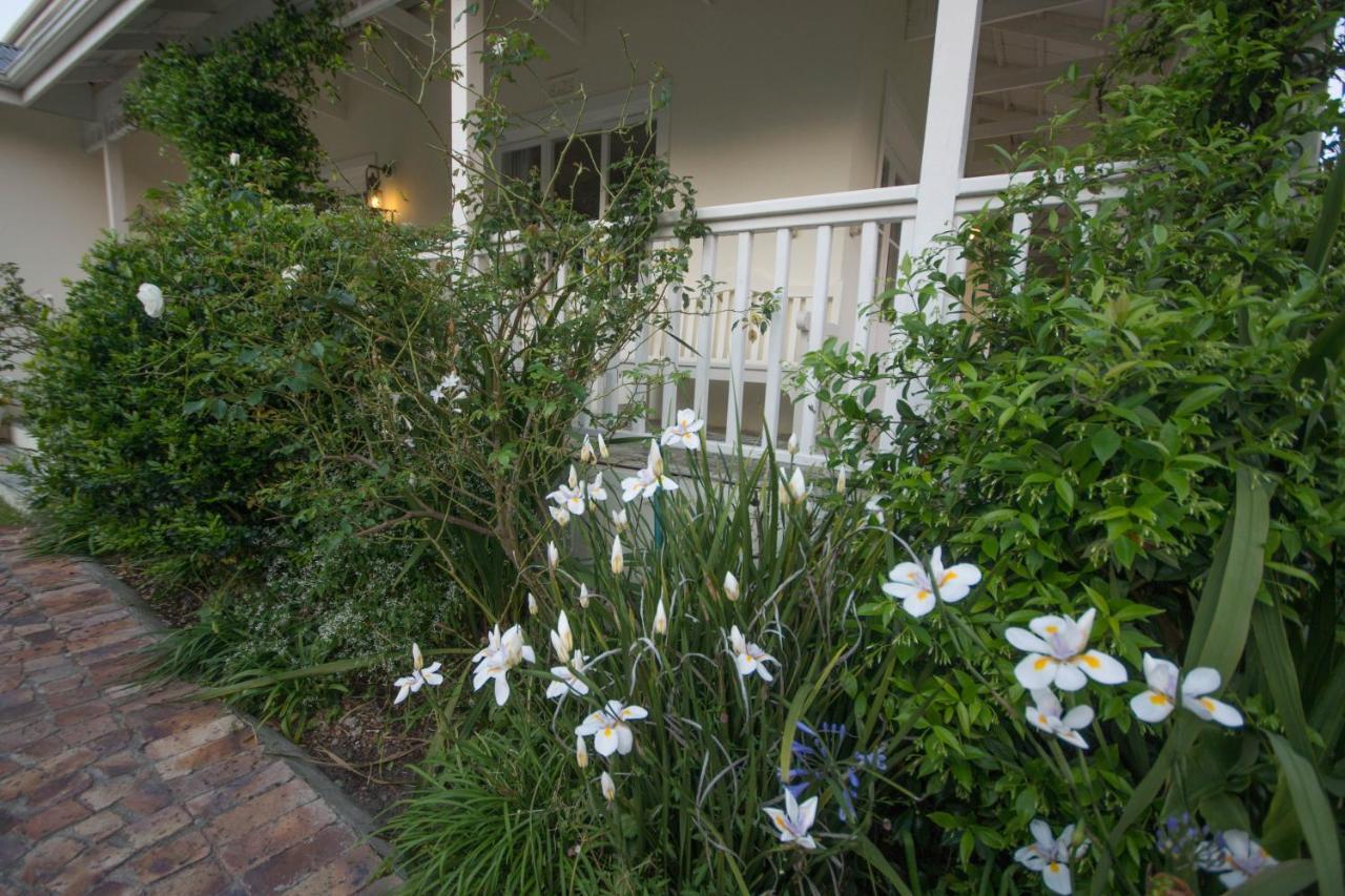 The Summer House Plettenberg Bay Esterno foto